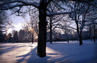 Campus in the winter
